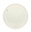 Dinner plate porcel