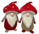 Gnome ass.2