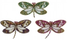 Dragonfly on clip