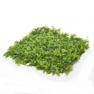 Tile w.eucalyptuslvs