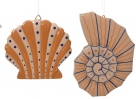 Shell mango wood