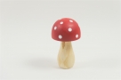 Mushroom wood