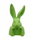 Rabbit buste