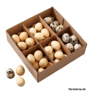 Quail eggs