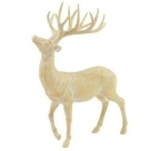 Deer standing