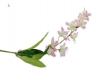 Jasmin spray