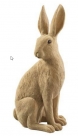 Hare sitting