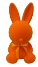 Rabbit sitting