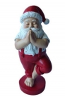 Santa yoga