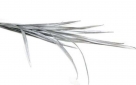 Yucca spray