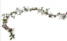 Garland berries