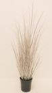 Grass in pot