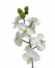 Orchid spray x8