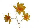 Magnolia spray x3