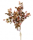 Eucalyptus spray