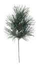 Pine pick long needl