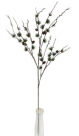 Pine spray