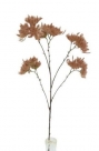 Spray blooming x5