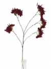 Spray blooming x5
