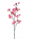 Apple blossom spray