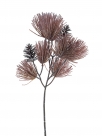 Pinus spray w/cone
