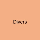 Divers