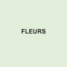 Fleurs