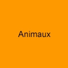 Animaux