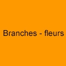 Branches - fleurs