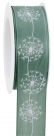Ribbon dandelion