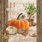 Autumn gardening