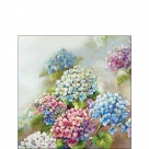 Hydrangea shades