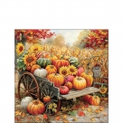 Pumpkin harvest