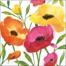 Aquarell poppy