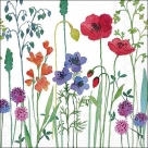 Meadow flowers