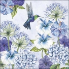 Hummingbird