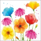 Colourful summer