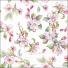 Spring blossem