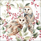 Barn owl couple