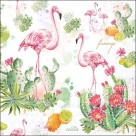 Flamingo+cactus