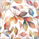 Colourful leaves