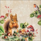 Fruit collector