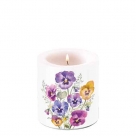Pansies