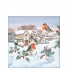 Birdy village