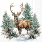 Winter stag