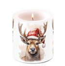 Deer with santa hat