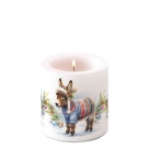 Wooley donkey
