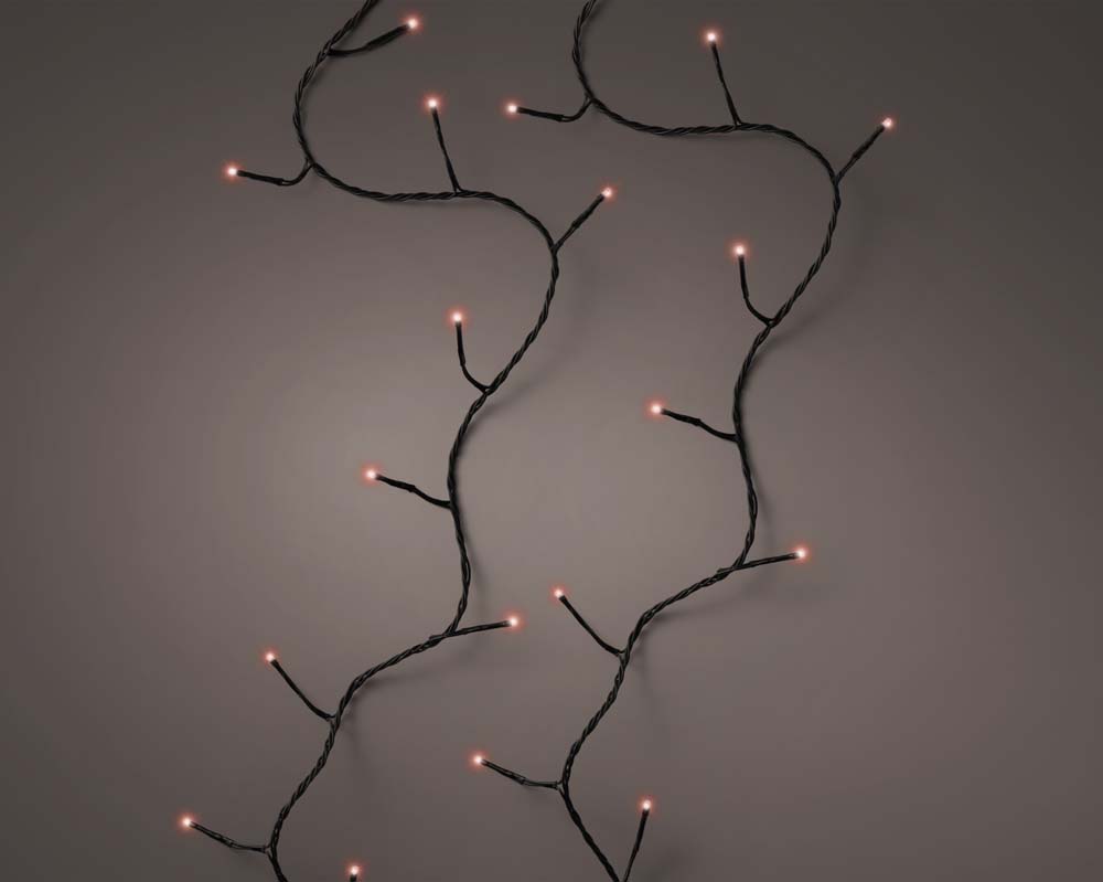 Basic lights twinkle