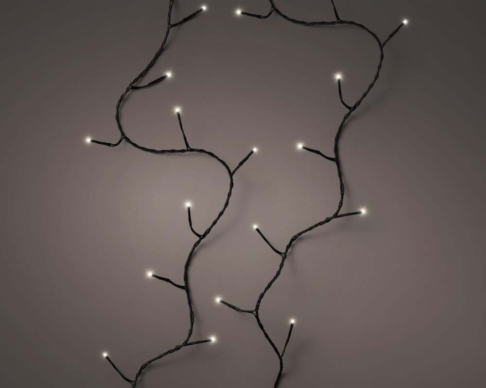 Basic lights twinkle