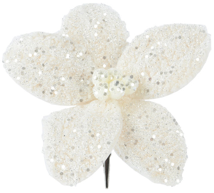 Poinsettia fur